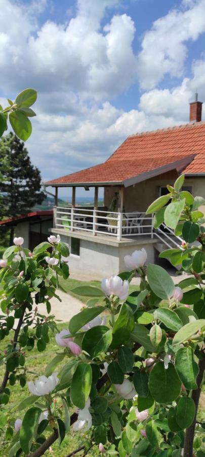 Vikend House Villa Ljig Luaran gambar